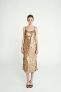 Champagne Glow Dress